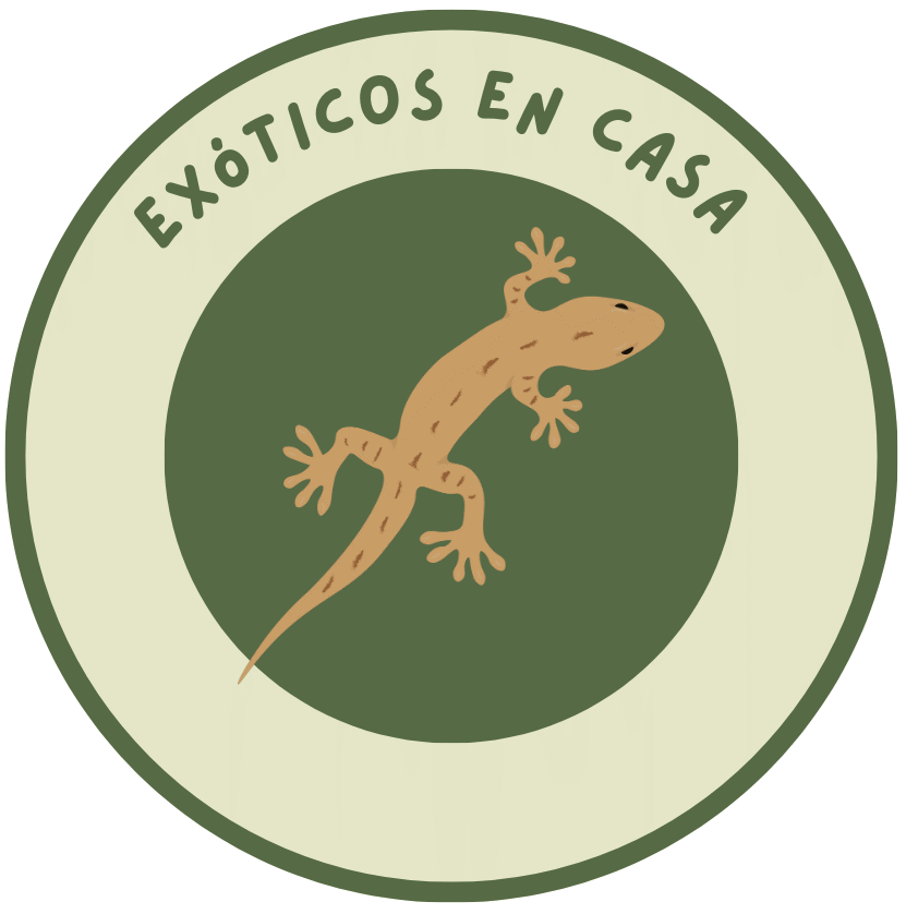 Exóticos en Casa