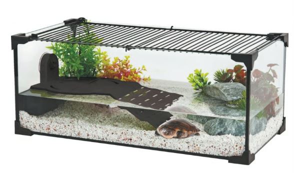 Acuaterrario Montado