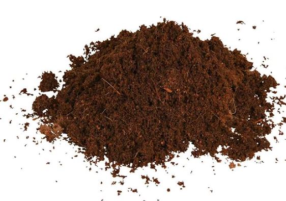 Sustrato gecko vistoso