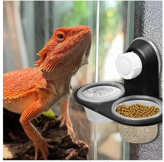 Cuencos comida gecko