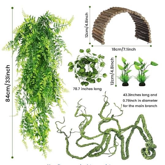 Set decoracion gecko